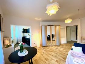 Pronájem bytu 1+kk, Mladá Boleslav, Pod Borkem, 34 m2