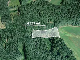 Prodej podílu lesa, Studnice, 2072 m2