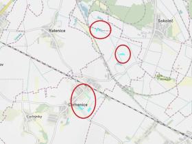 Prodej podílu pole, Cerhenice, 10056 m2