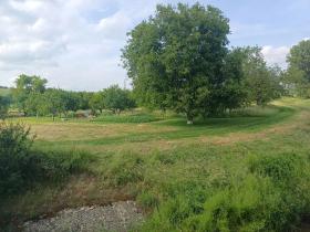 Prodej zahrady, Bučovice, 2010 m2