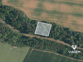 Prodej lesa, Katusice, 2456 m2