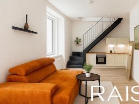 Prodej bytu 2+kk, Brno, Křenová, 54 m2