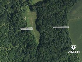 Prodej lesa, Hradčovice, 805 m2