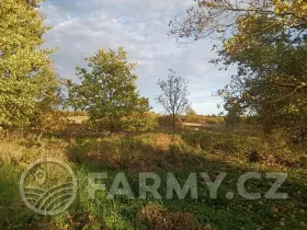 Prodej pole, Vráž, 17027 m2