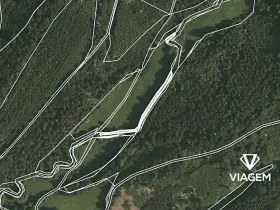 Prodej lesa, Třebovice, 657 m2