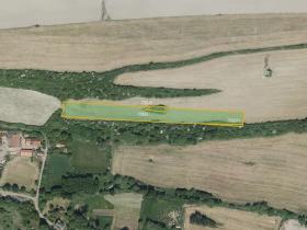 Prodej pole, Žerotín, 13996 m2