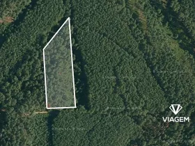 Prodej podílu lesa, Vlastiboř, 1755 m2