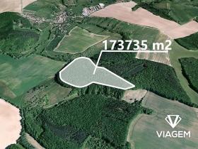 Prodej podílu lesa, Pašovice, 27921 m2