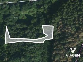 Prodej lesa, Letovice, 1447 m2