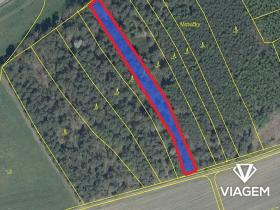 Prodej podílu lesa, Koloveč, 629 m2