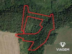 Prodej podílu lesa, Chlum, 2803 m2