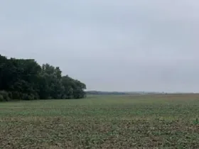 Dražba pole, Budyně nad Ohří, 23046 m2