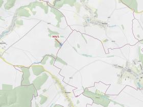 Dražba lesa, Přemyslovice, 7049 m2