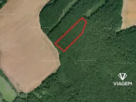 Prodej podílu lesa, Slatiny, 2288 m2