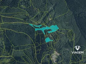 Prodej podílu lesa, Janová, 1920 m2