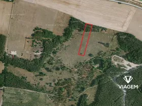 Prodej podílu lesa, Travčice, 1044 m2