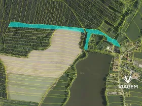 Prodej podílu lesa, Olešnice, 3009 m2