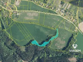 Prodej podílu lesa, Syřenov, 4521 m2