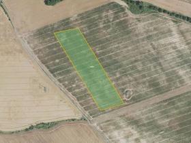 Prodej pole, Nesuchyně, 12842 m2