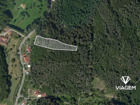 Prodej lesa, Letovice, 2436 m2