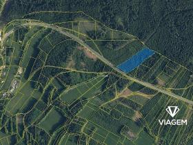 Prodej podílu lesa, Loužnice, 5983 m2