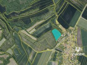 Prodej zahrady, Chraberce, 9574 m2