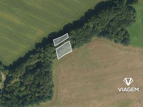 Prodej podílu pole, Mladějov na Moravě, 1655 m2