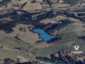 Prodej podílu lesa, Malá Bystřice, 197 m2