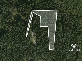 Prodej podílu lesa, Morávka, 5587 m2