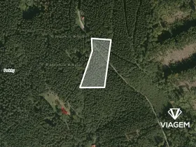 Prodej podílu lesa, Morávka, 4866 m2