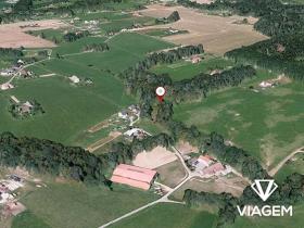 Prodej lesa, Dolní Domaslavice, 2186 m2