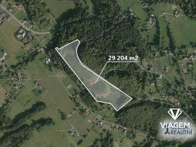 Prodej lesa, Bystřice, 29204 m2