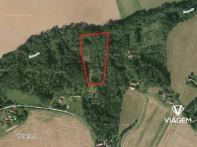 Prodej podílu lesa, Sobotka, 2241 m2