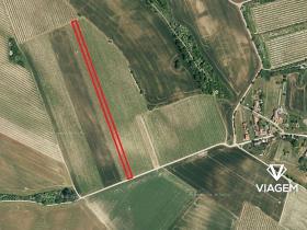 Prodej podílu pole, Valtice, 706 m2