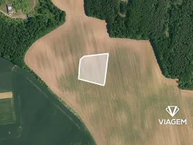 Prodej pole, Vinařice, 8647 m2