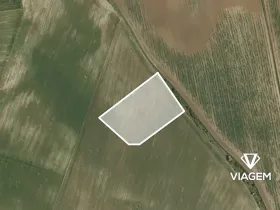 Prodej pole, Vinařice, 9786 m2