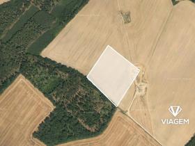 Prodej podílu pole, Liběšice, 2391 m2
