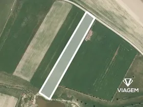 Prodej podílu pole, Kejžlice, 2768 m2