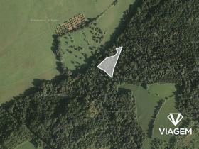 Prodej podílu lesa, Luhačovice, 2043 m2