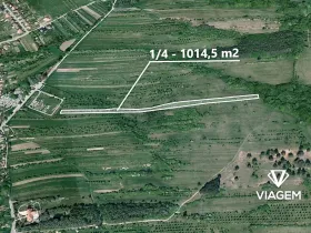 Prodej podílu zahrady, Velká nad Veličkou, 1014 m2
