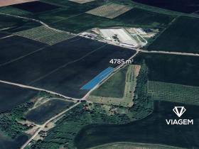 Prodej podílu pole, Starovice, 531 m2