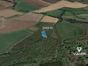 Prodej pole, Kopidlno, 2568 m2