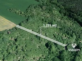 Prodej lesa, Březolupy, 1255 m2