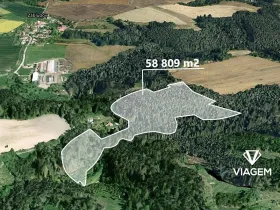 Prodej podílu lesa, Letovice, 1470 m2