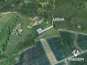 Prodej lesa, Vlkančice, 2326 m2