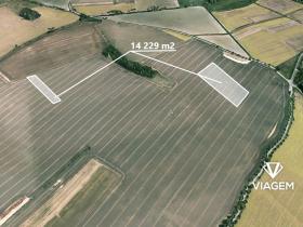 Prodej podílu lesa, Radkova Lhota, 2383 m2