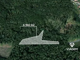 Prodej podílu lesa, Dašice, 3483 m2