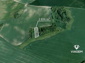 Prodej zahrady, Bošovice, 2836 m2