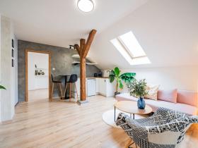 Prodej bytu 2+kk, Praha - Žižkov, Cimburkova, 36 m2