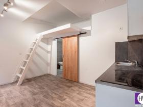 Prodej bytu 1+kk, Praha, Husitská, 20 m2